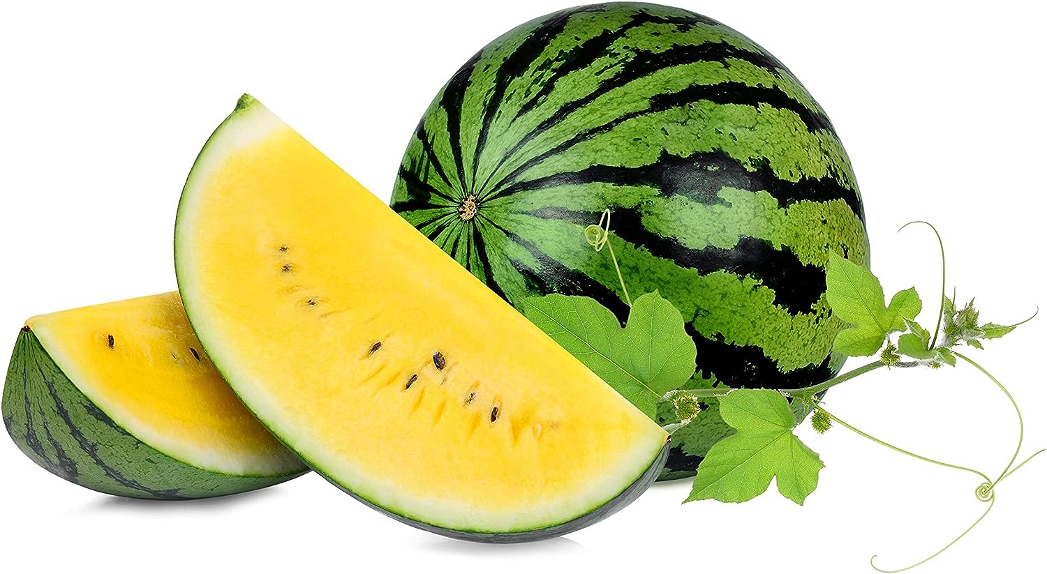 yellow watermelon