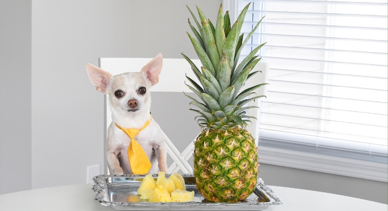 can dogs eat pineapple